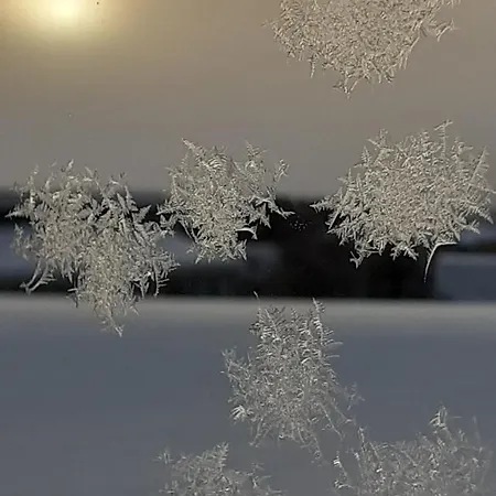 Penthouse With Bicycles - 2 Free Bikes Available * Rovaniemi