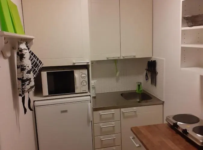 Penthouse With Bicycles - 2 Free Bikes Available Apartment Rovaniemi